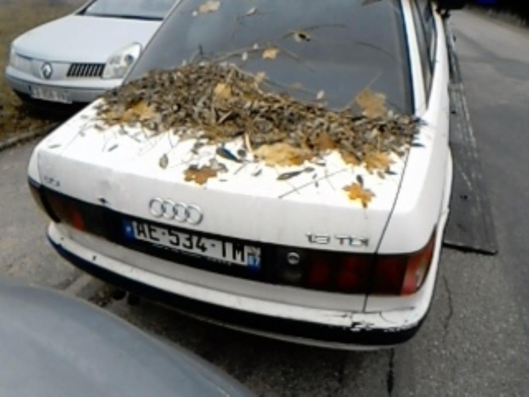 Demarreur AUDI 80 3 PHASE 2 Diesel - 1