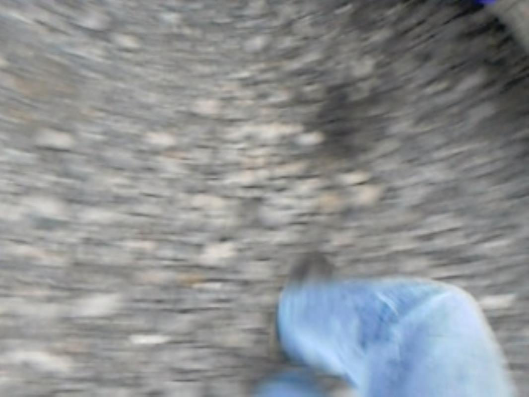 Photo de la pièce