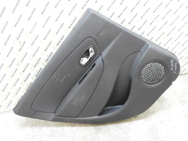 Image Panneau de porte arriere gauche - RENAULT SCENIC 3
