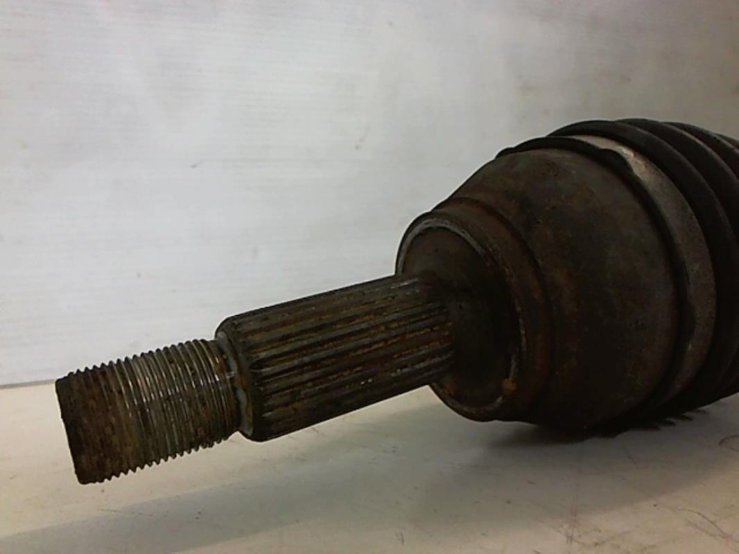 Cardan fiesta (83) foto