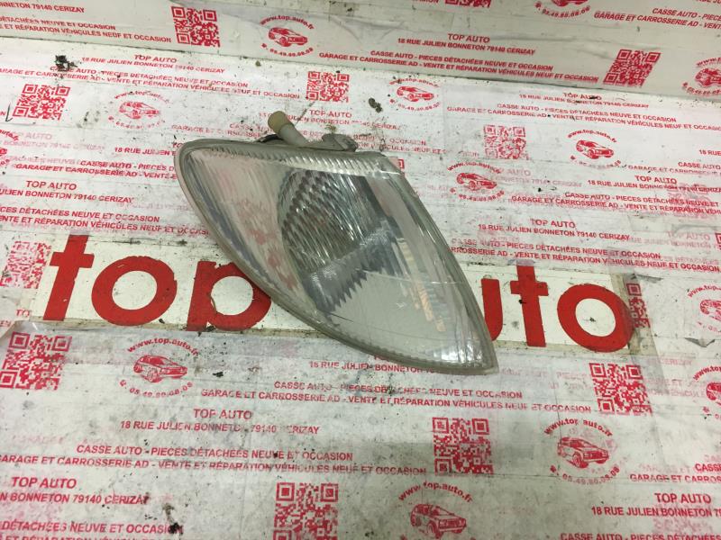 Gruppo ottico anteriore secondario destro (luci)(freccia) RENAULT SCENIC 1 PHASE 1 Gasolina - 1