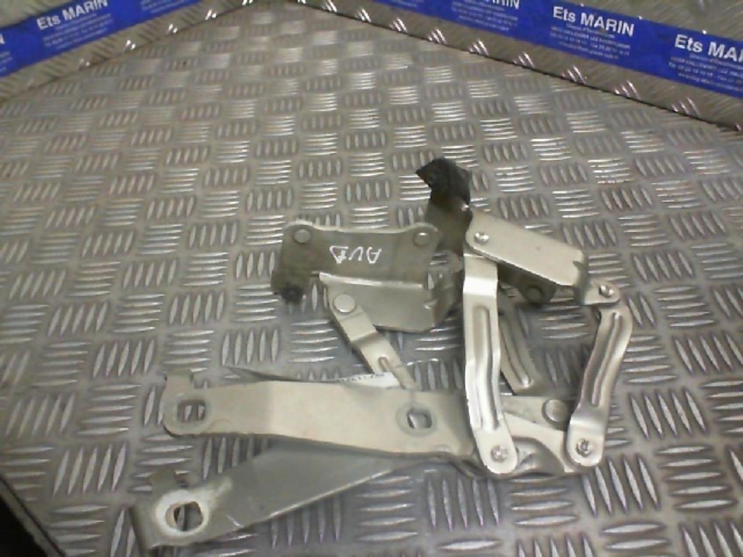 Charniere de capot RENAULT SCENIC 2 PHASE 2 Diesel - 1