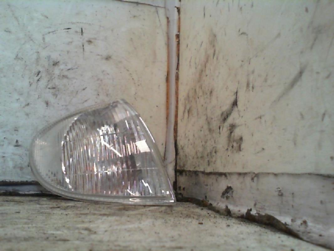 Ripetitore lampeggiante anteriore destro (Luci) RENAULT SCENIC 1 PHASE 1 Gasolina/GLP - 1