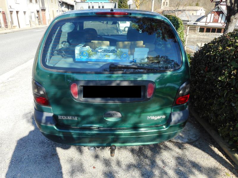 Image Leve vitre electrique arriere droit - RENAULT SCENIC 1