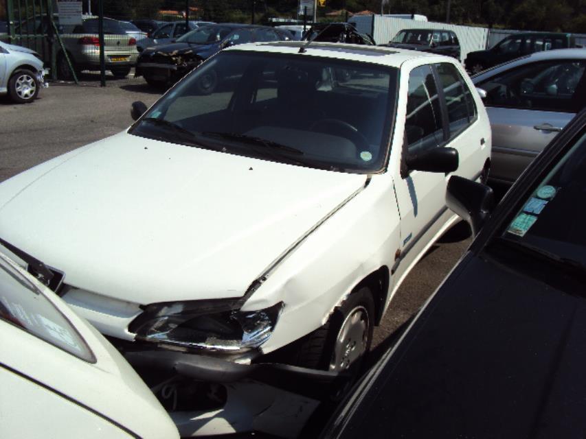 Pompa sterzo PEUGEOT 306 PHASE 2 Gasolina - 1