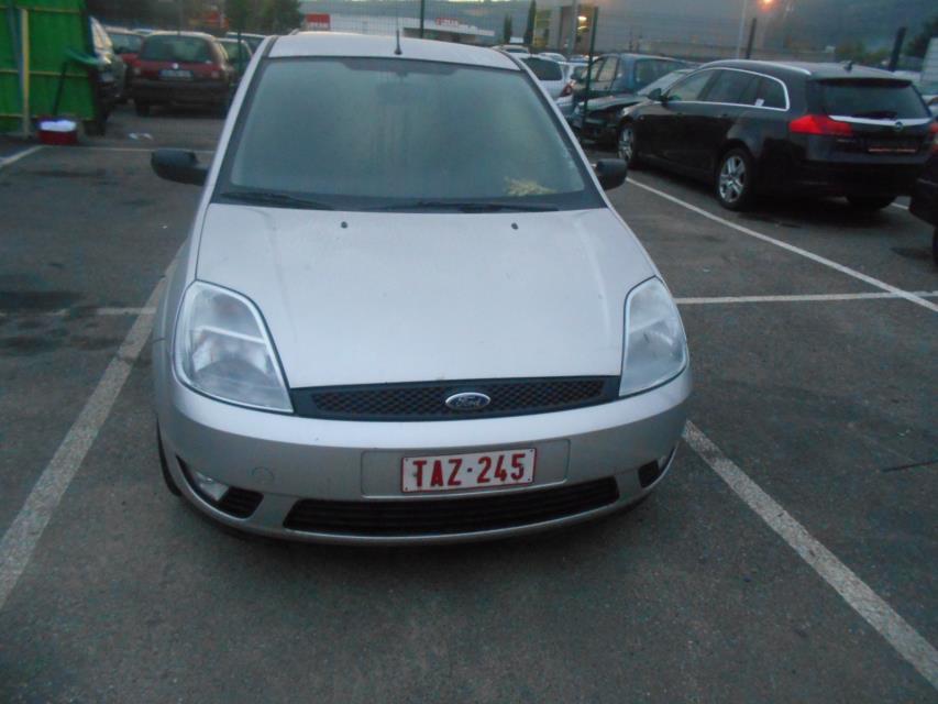Cerniera cofano FORD FIESTA 5 PHASE 2 Diésel - 1