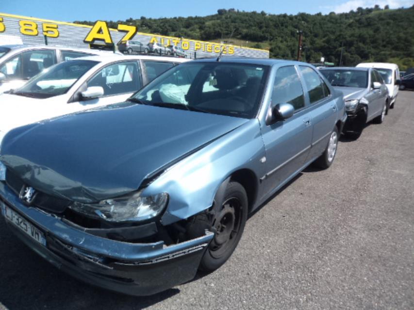 Maniglia interna posteriore destra PEUGEOT 406 PHASE 2 Gasolina - 1