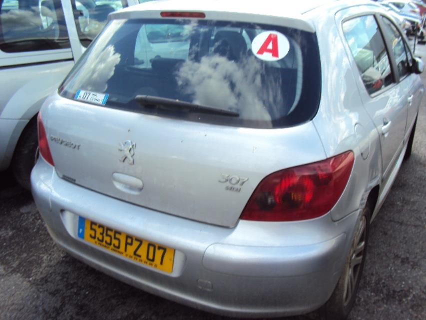 Alzacristalli elettrico posteriore sinistro PEUGEOT 307 PHASE 1 Diésel - 1