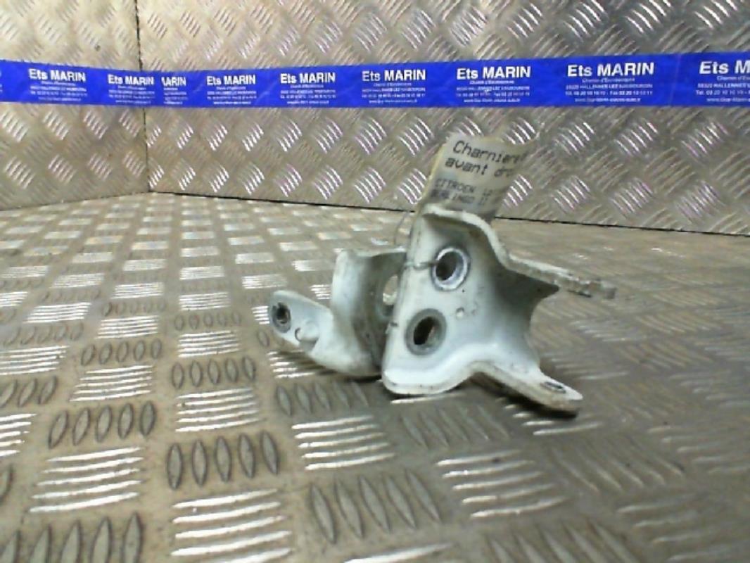 Cerniera portiera anteriore destra CITROEN BERLINGO 2 PHASE 2 Diésel - 1