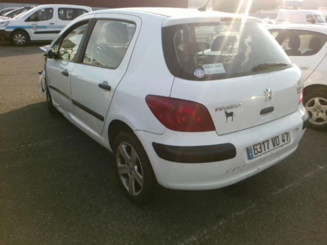 Image Pompe à injection - PEUGEOT 307