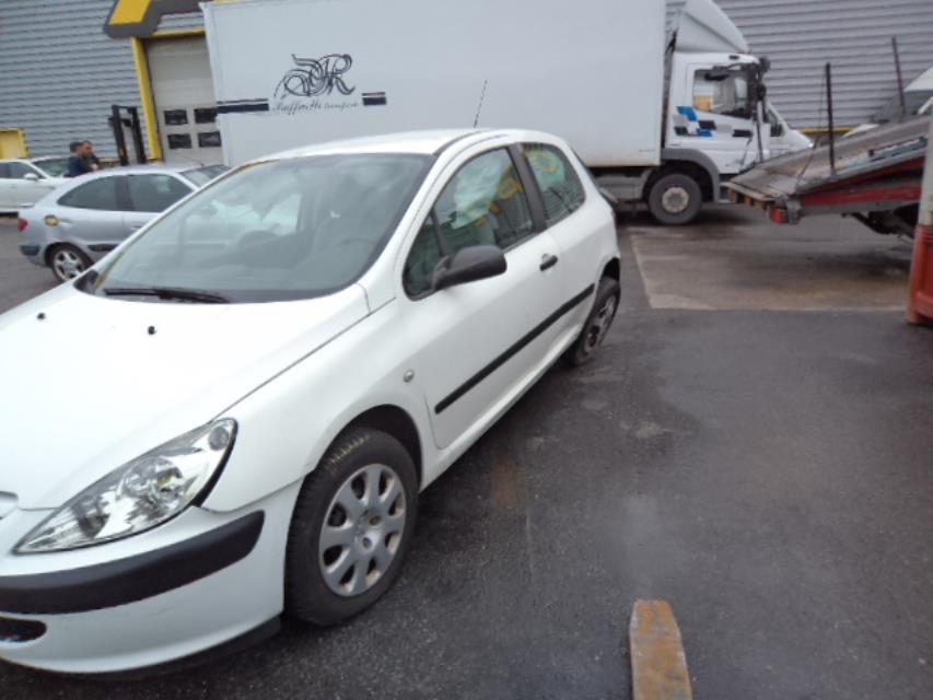 Alzacristalli elettrico anteriore sinistro PEUGEOT 307 PHASE 1 Diésel - 1
