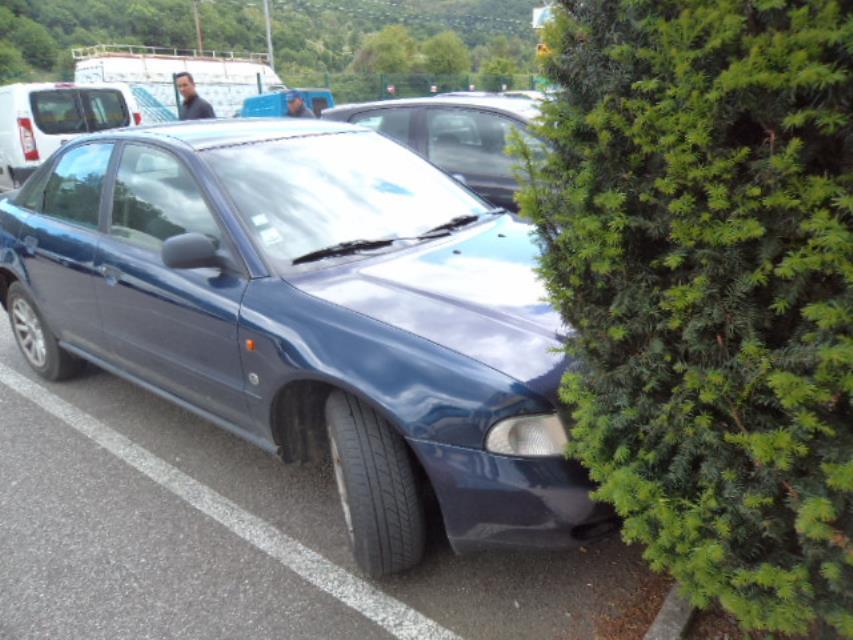 Radiateur eau AUDI A4 1 PHASE 1 Diesel - 1