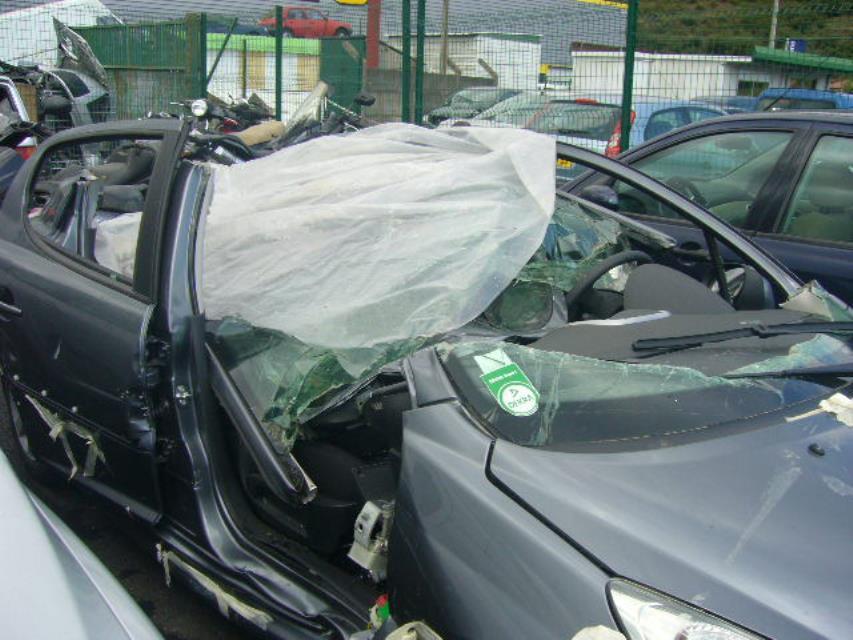 Cilindro maestro (freno) PEUGEOT 207 PHASE 1 Diésel - 1