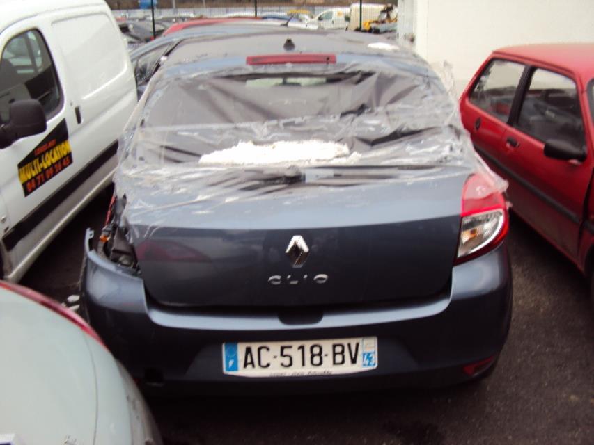 Vaso di espansione RENAULT CLIO 3 PHASE 2 Diésel - 1