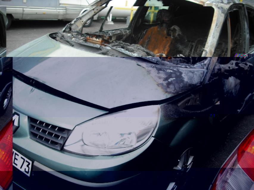 Vase d'expansion RENAULT SCENIC 2 PHASE 1 Diesel - 1