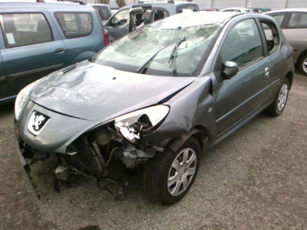 Image Injecteurs - PEUGEOT 206+