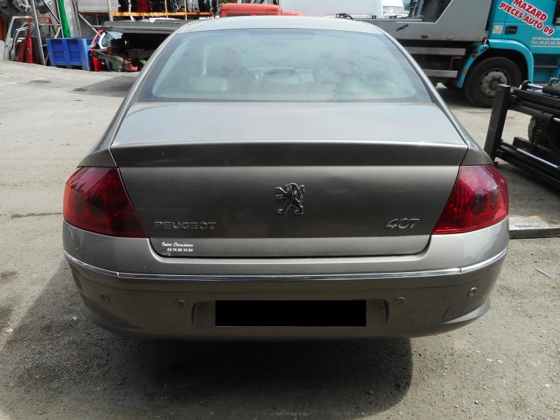 Image Pompe de gavage - PEUGEOT 407