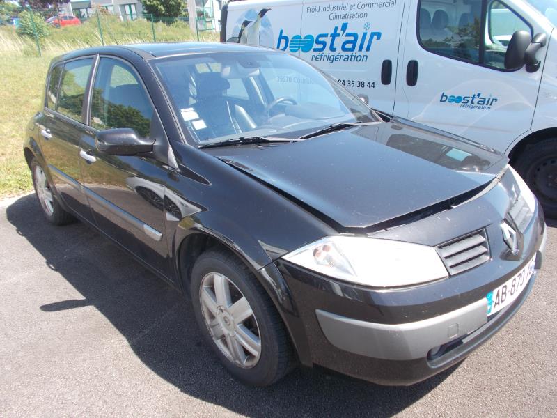 Vetro laterale fisso posteriore sinistro (portiera) RENAULT MEGANE 2 PHASE 1 Diésel - 1