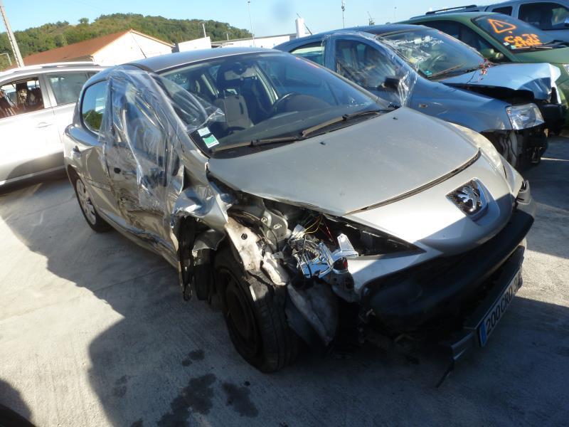 Ammortizzatore posteriore destro PEUGEOT 207 PHASE 1 Diésel - 1