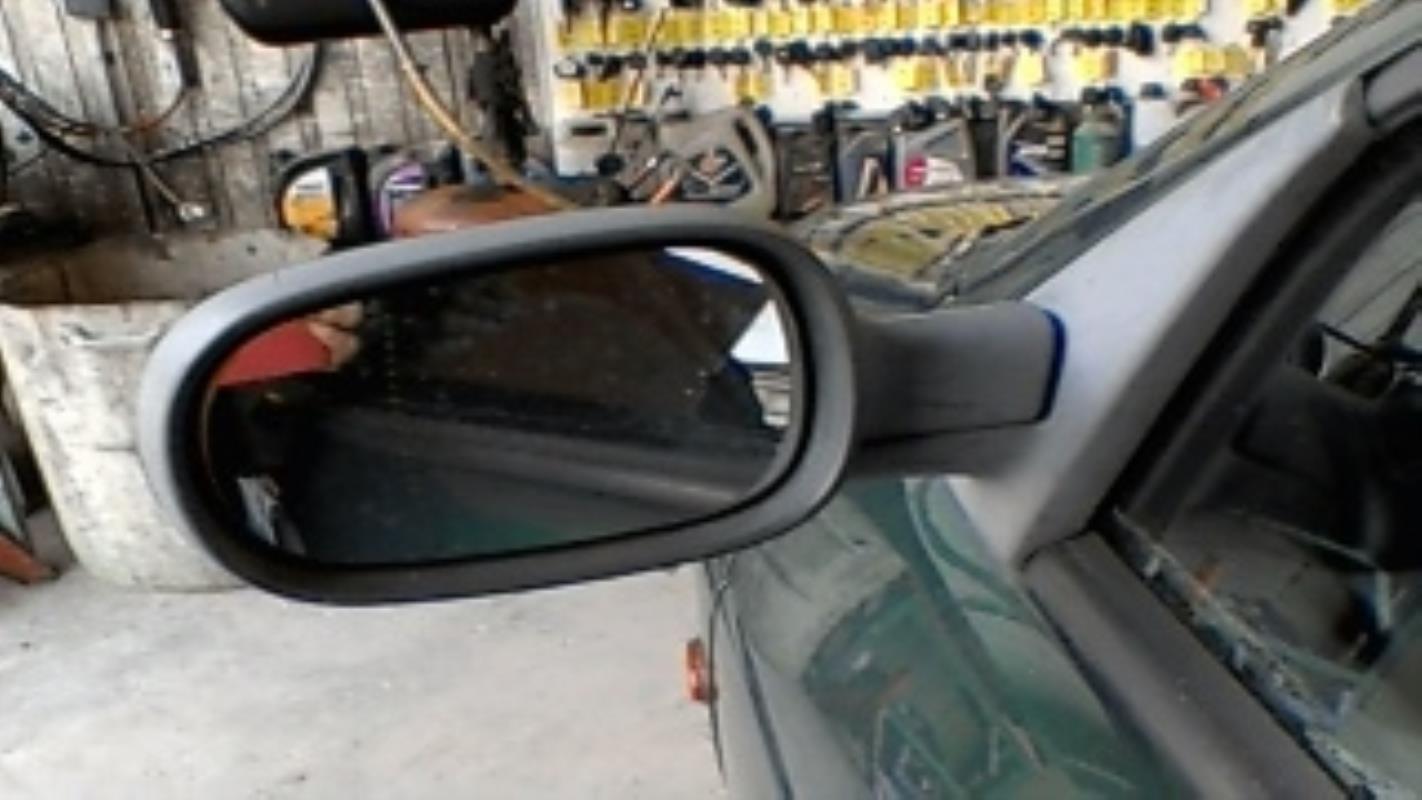 Specchietto retrovisore sinistro RENAULT MEGANE 1 PHASE 1 Diésel - 1