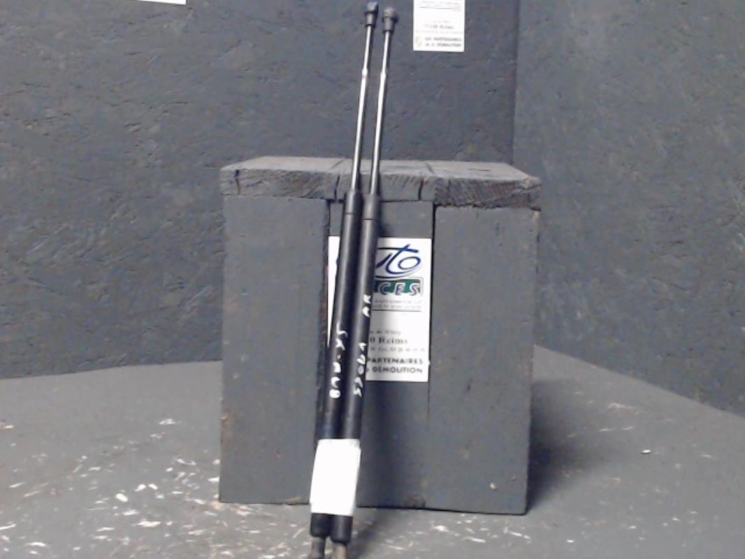 Verin de coffre BMW X5 E53 Diesel - 1