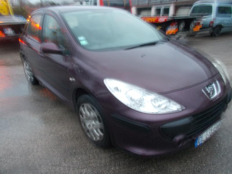 Motoventilatore radiatore PEUGEOT 307 PHASE 1 Diésel - 1