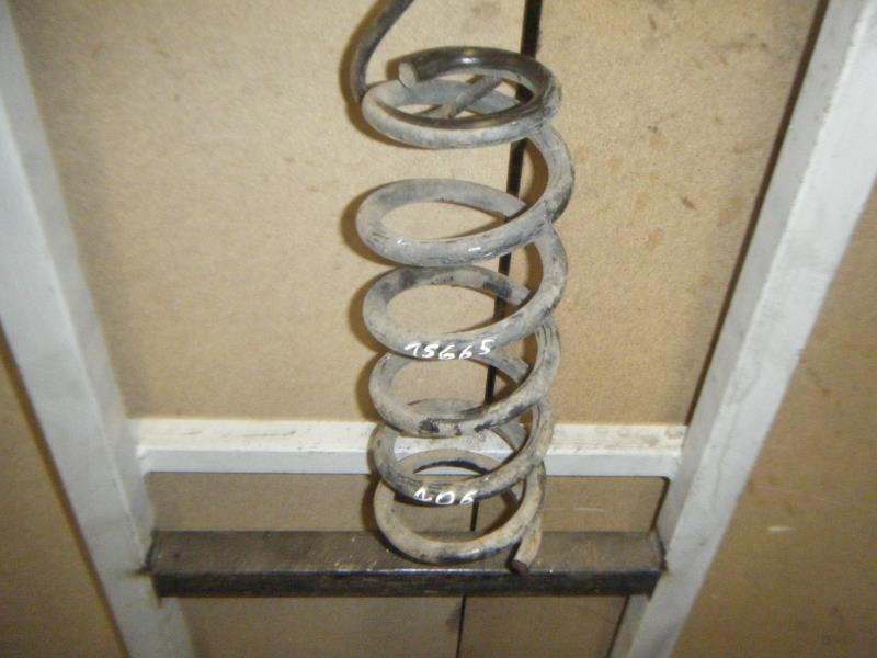 Molla sospensione posteriore PEUGEOT 406 Diésel - 1