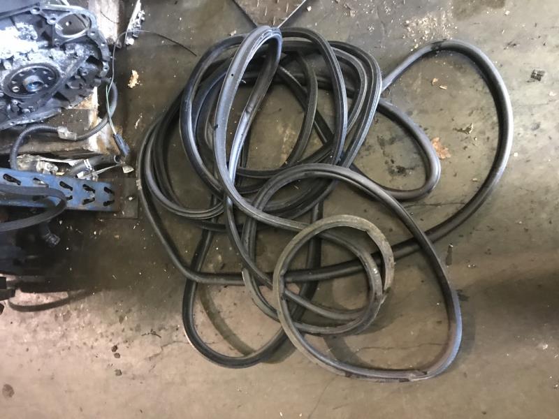 Junta de puerta trasera izquierda BMW X5 E53  - 1