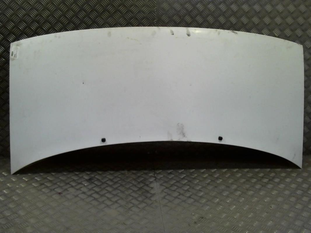 Capot FIAT SCUDO 1 PHASE 1 Diesel - 1