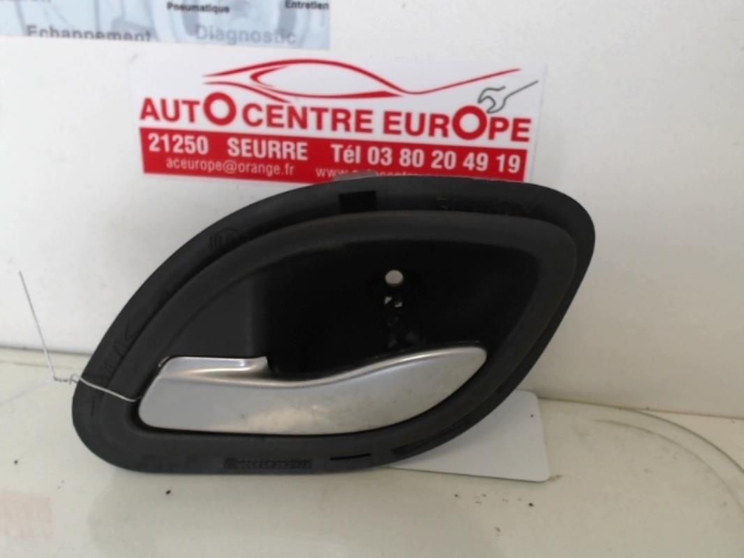 Maniglia interna posteriore sinistra RENAULT LAGUNA 2 PHASE 1 Diésel - 1