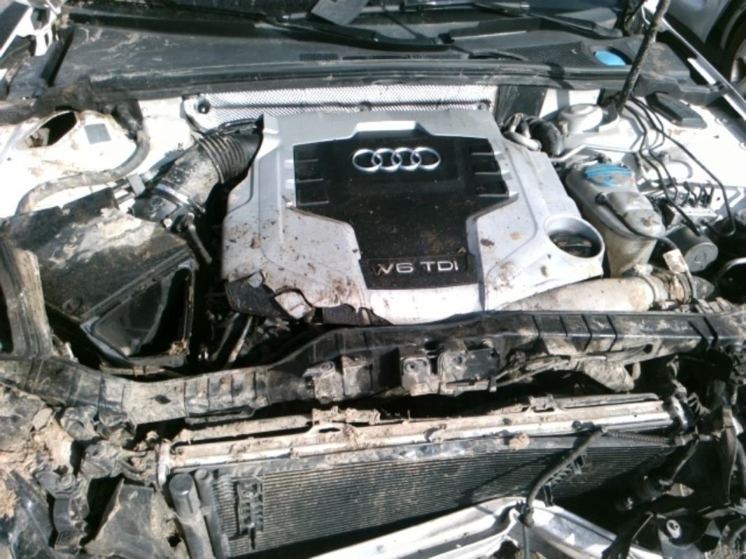 Image Ceinture avant gauche - AUDI A4 3