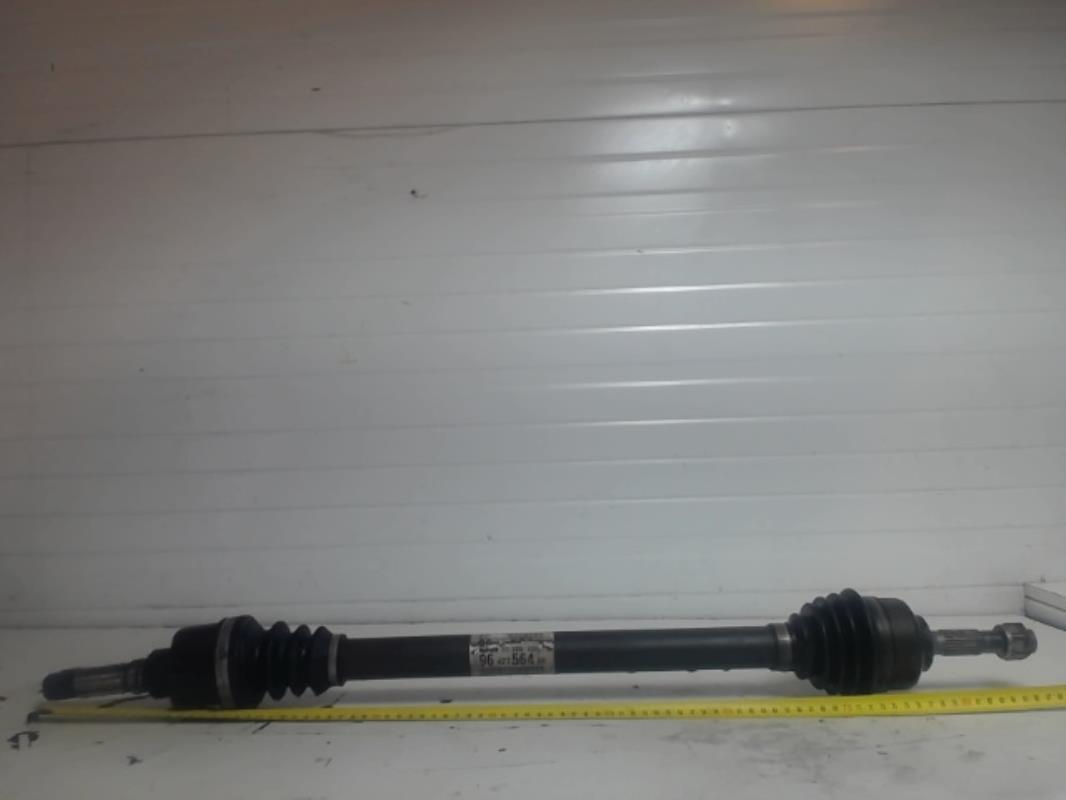 Giunto cardanico albero di trasmissione destro CITROEN C3 PLURIEL PHASE 1 CABRIOLET Gasolina - 1