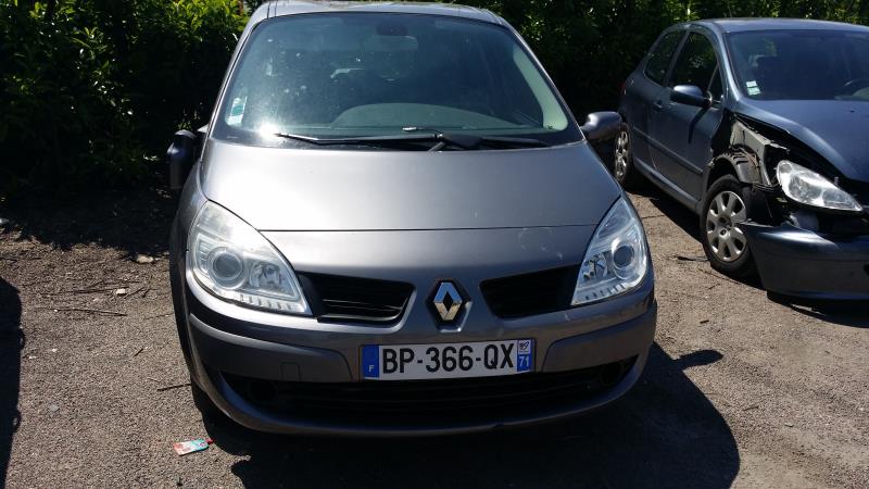 Mando de luces RENAULT SCENIC 2 PHASE 2 Diésel - 1