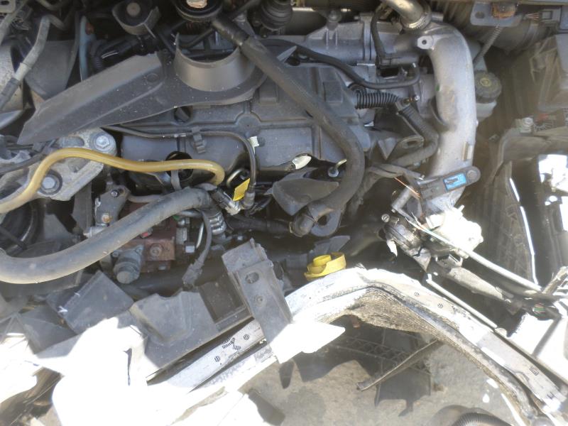 Image Porte arriere droit - RENAULT MEGANE 3