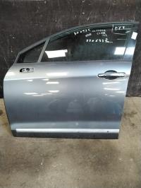Porte avant gauche
