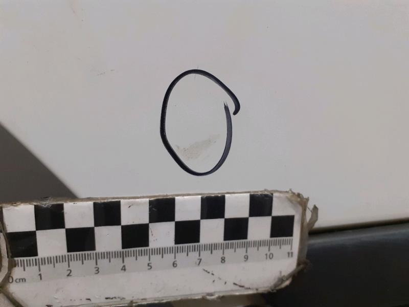 Porte avant gauche FORD TRANSIT 3 Diesel - 1