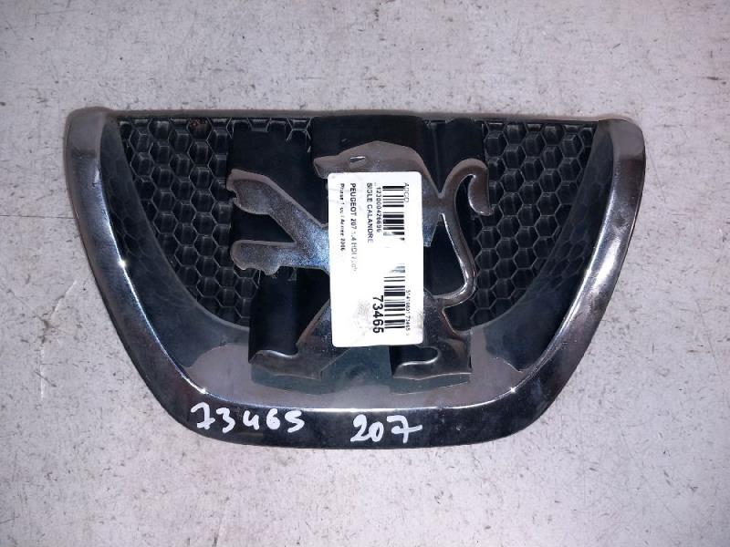 Sigle de calandre PEUGEOT 207 Diesel - 1