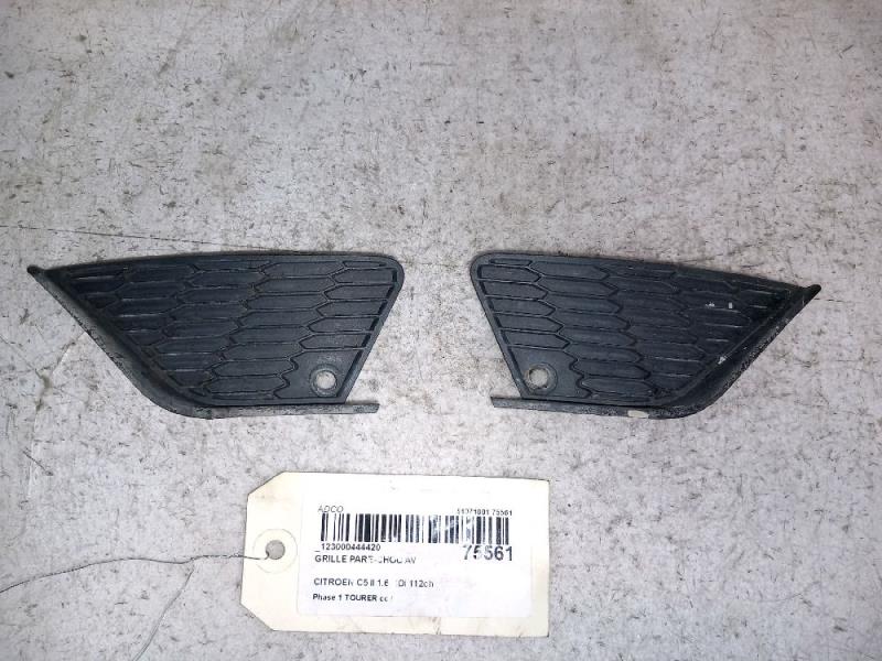 Grille de pare choc CITROEN C5 2 TOURER Diesel - 1