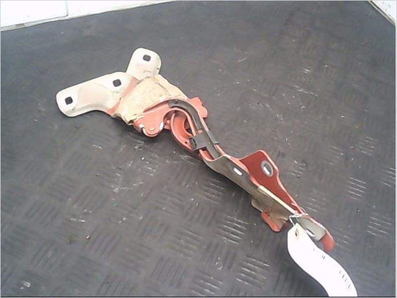 Charniere de capot RENAULT CLIO III Diesel - 1