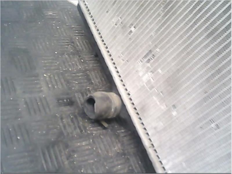 Radiateur eau CITROEN C4 I Diesel - 1