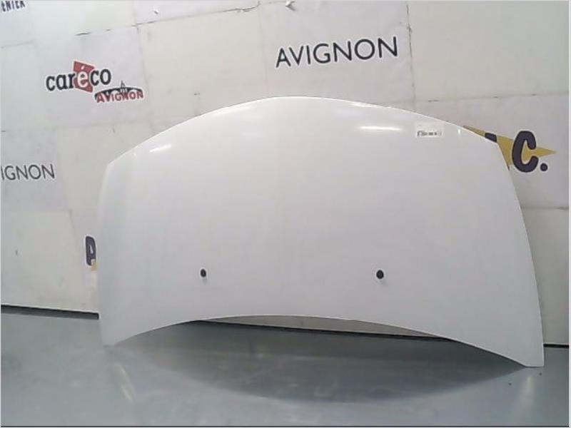 Capot RENAULT CLIO III Diesel - 1