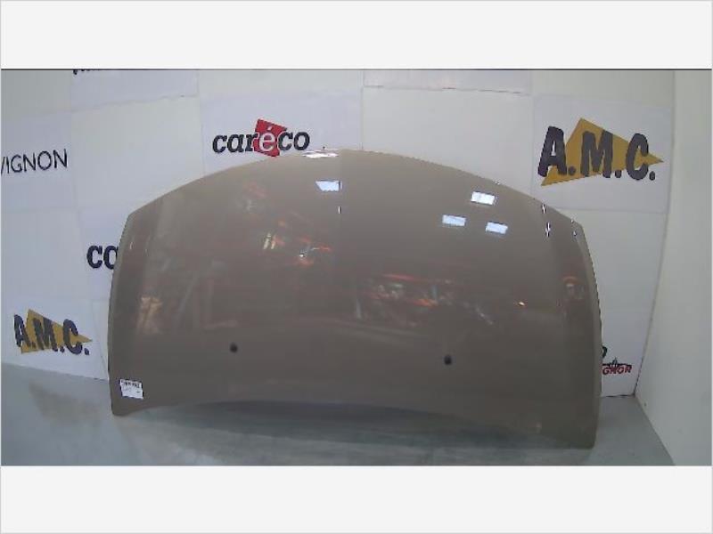 Capot RENAULT CLIO III Diesel - 1