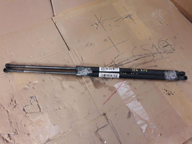 Verin de coffre RENAULT SCENIC III Diesel - 1