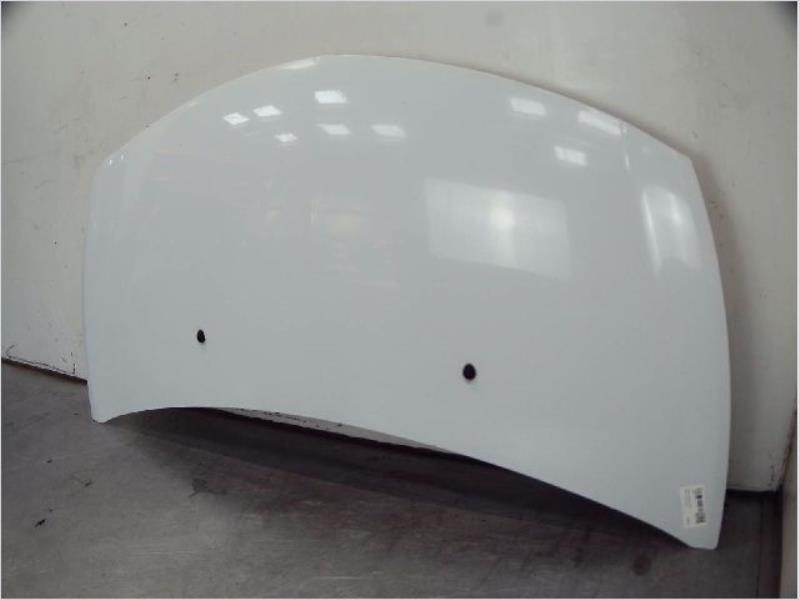 Capot RENAULT CLIO III Diesel - 1