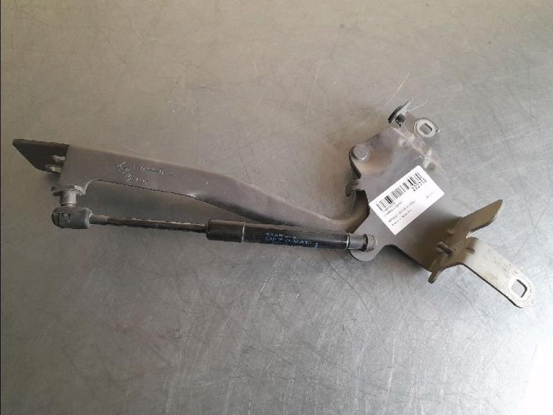 Charniere de capot RENAULT SCENIC III Diesel - 1