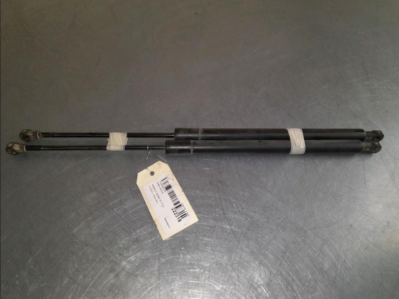 Verin de coffre RENAULT SCENIC III Diesel - 1