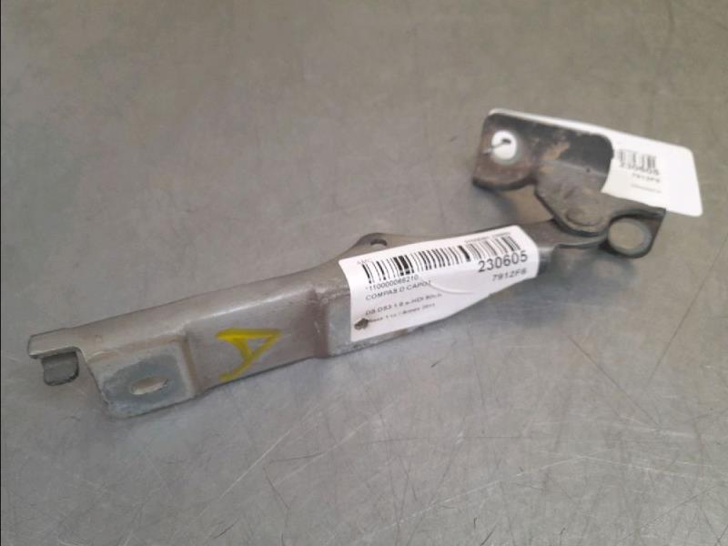 Charniere de capot DS DS3 Diesel - 1
