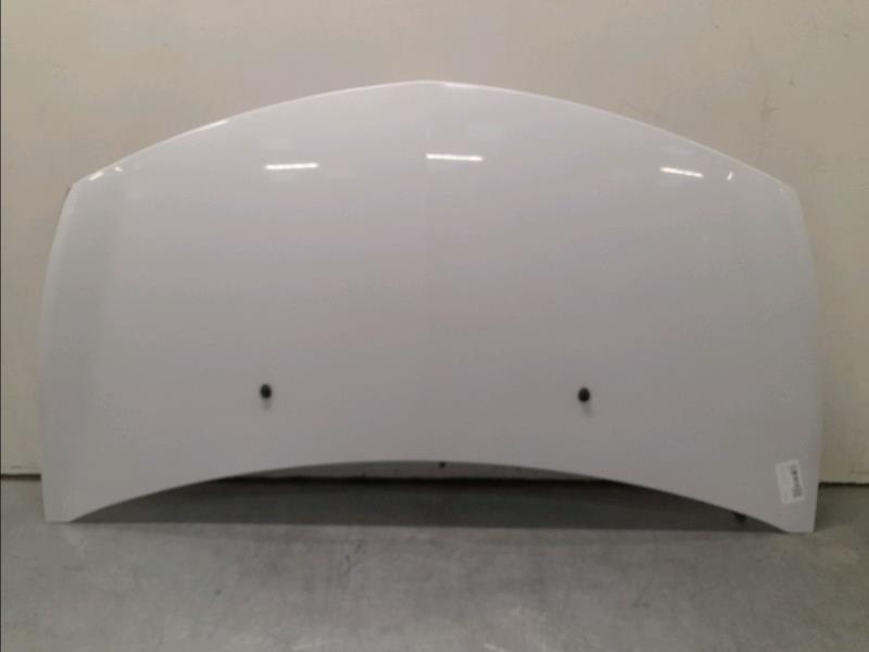 Capot RENAULT CLIO III Diesel - 1