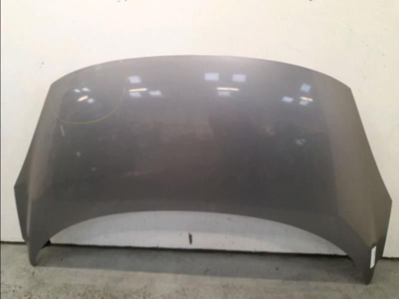 Capot RENAULT SCENIC III Diesel - 1