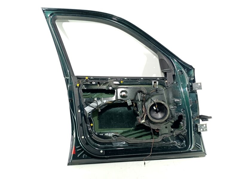 Porte avant gauche BMW X5 Essence - 1